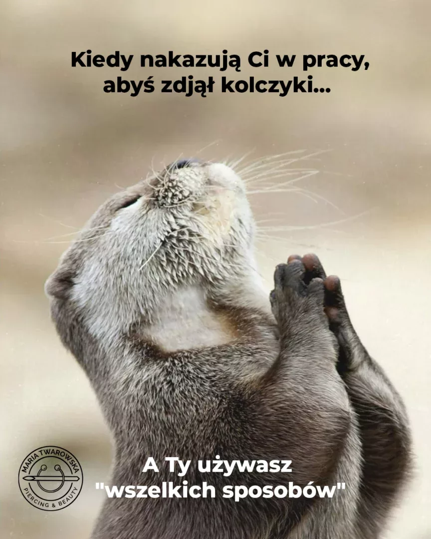 Praca – lekarze i bioplast🧐